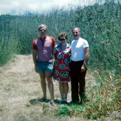 Wilcommen, No. 0086 White Family of Three Against the Swordgrass